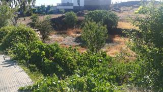 Terreny residencial  Lugar baldio s miguel. Solar en venta. alcántara