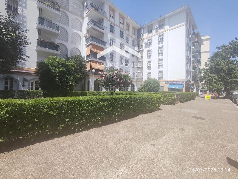Foto d08b0684-126b-4a64-ae6b-8d23a7369d28. Appartement dans Plaza de Toros Jerez de la Frontera