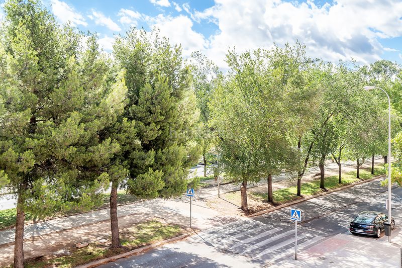 Foto a4a7c19e-8bc3-48e4-8908-58651d30b56f. Pis a calle de berrocal 52 a Butarque Madrid