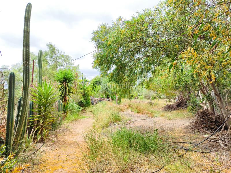 Foto 232023db-bdba-45b9-9016-43e6aaba2486. Masia amb xemeneia a Pedanías Oeste Aspe