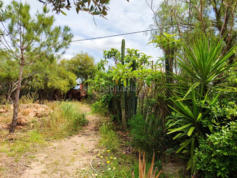 Foto 28101ca7-4c0d-4142-8383-314022a4ebcb. Masia amb xemeneia a Pedanías Oeste Aspe