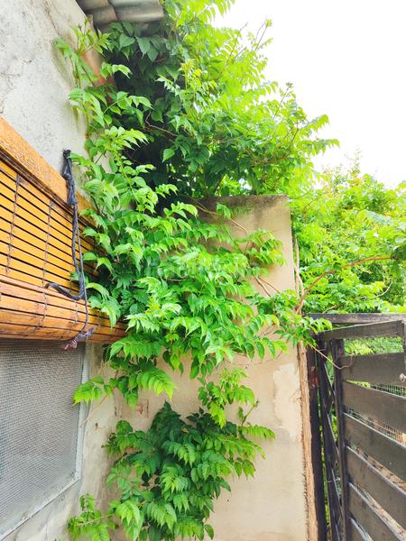 Foto 317c95ea-d9d0-4a57-8764-9ccb8522b67f. Masia amb xemeneia a Pedanías Oeste Aspe