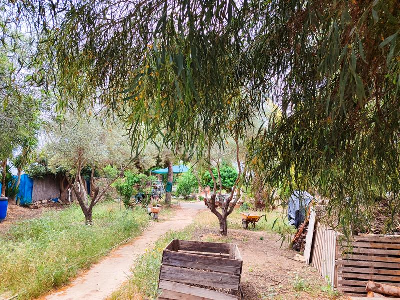 Foto 37df71d4-7b75-428f-9a47-227937552f09. Masia amb xemeneia a Pedanías Oeste Aspe