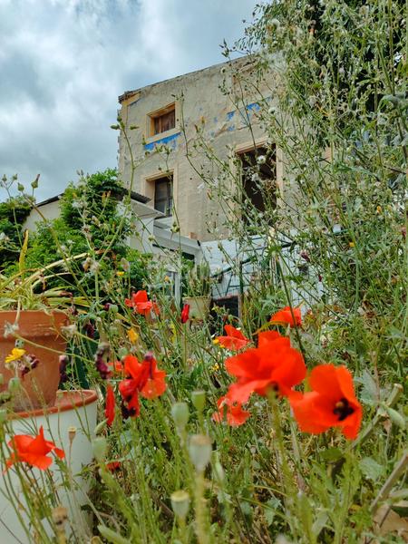 Foto 6d22ae2b-4776-4d27-9b41-a554500c01e1. Masia amb xemeneia a Pedanías Oeste Aspe