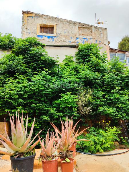 Foto 6db4400f-7245-4da8-b369-fbb1efc87585. Masia amb xemeneia a Pedanías Oeste Aspe