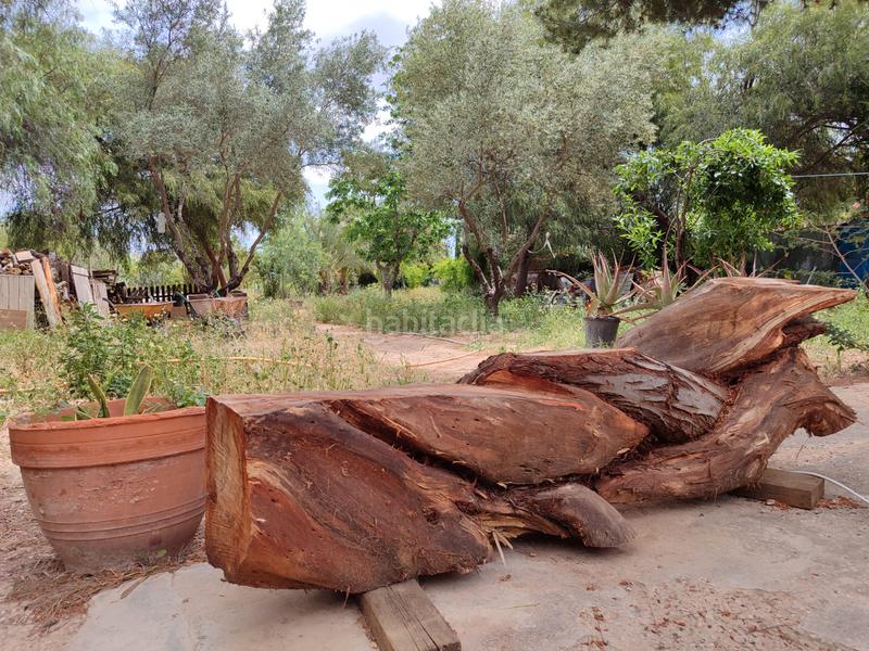 Foto 7d83c87c-9093-438f-b464-a6f1ac9e143f. Masia amb xemeneia a Pedanías Oeste Aspe