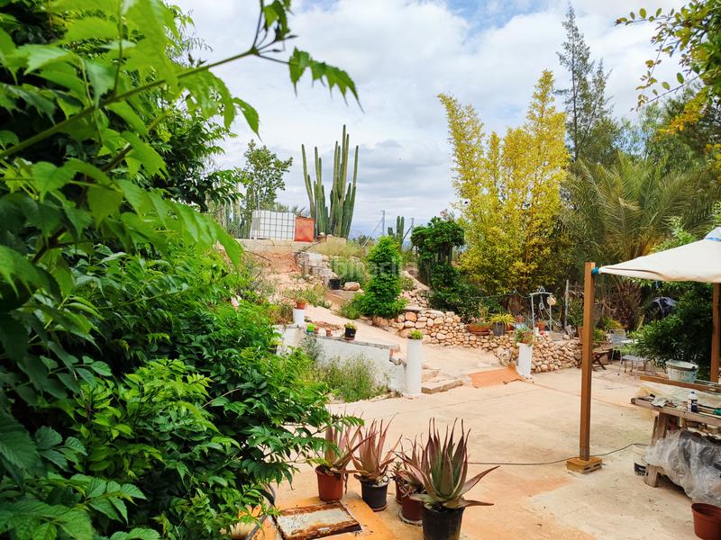 Foto 8d790e91-4105-4a8e-94d2-4f3ffe1a607a. Masia amb xemeneia a Pedanías Oeste Aspe