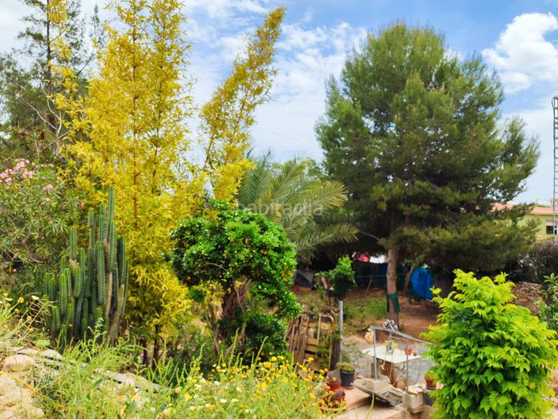 Foto 9c35f5a8-a654-4a59-aad1-8126cec4de34. Masia amb xemeneia a Pedanías Oeste Aspe