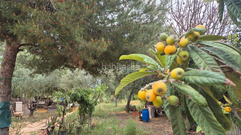 Foto a29fdb89-a672-4906-b88b-42d45ab0e948. Masia amb xemeneia a Pedanías Oeste Aspe