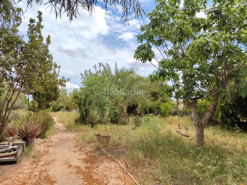 Foto bab4a420-0cee-44bb-8743-bf26971ebadc. Masia amb xemeneia a Pedanías Oeste Aspe