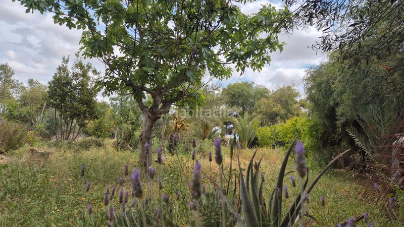 Foto bf5a2705-a2dd-4f01-b07e-0d6108d86acc. Masia amb xemeneia a Pedanías Oeste Aspe