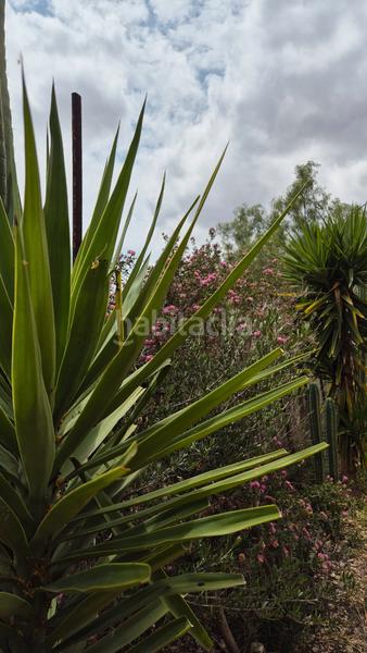 Foto d5067794-9796-4329-a734-7cb78bc3699c. Masia amb xemeneia a Pedanías Oeste Aspe