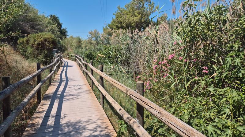 Foto d6239597-8d59-4336-8b68-5eeb8e932380. Masia amb xemeneia a Pedanías Oeste Aspe