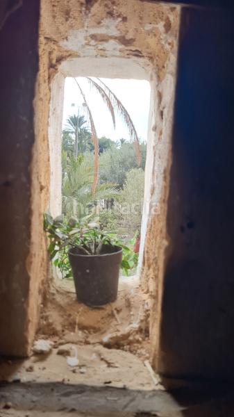 Foto 105a48fd-829e-40c2-b57e-4f355f4bf68d. Chalet in partida peña águilas 1006 in Peña de las Águilas Elche / Elx