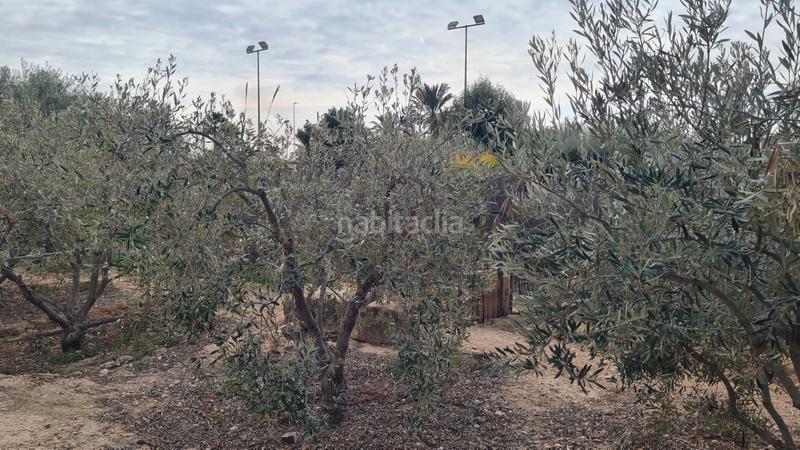 Foto 382d4c81-449f-42fc-86ba-e9603cbcbfbf. Chalet in partida peña águilas 1006 in Peña de las Águilas Elche / Elx