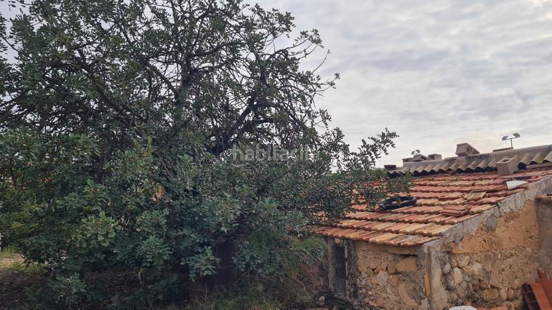 Foto 66f2a6e2-78d5-4bc6-bcf2-b766d2d98691. Chalet in partida peña águilas 1006 in Peña de las Águilas Elche / Elx