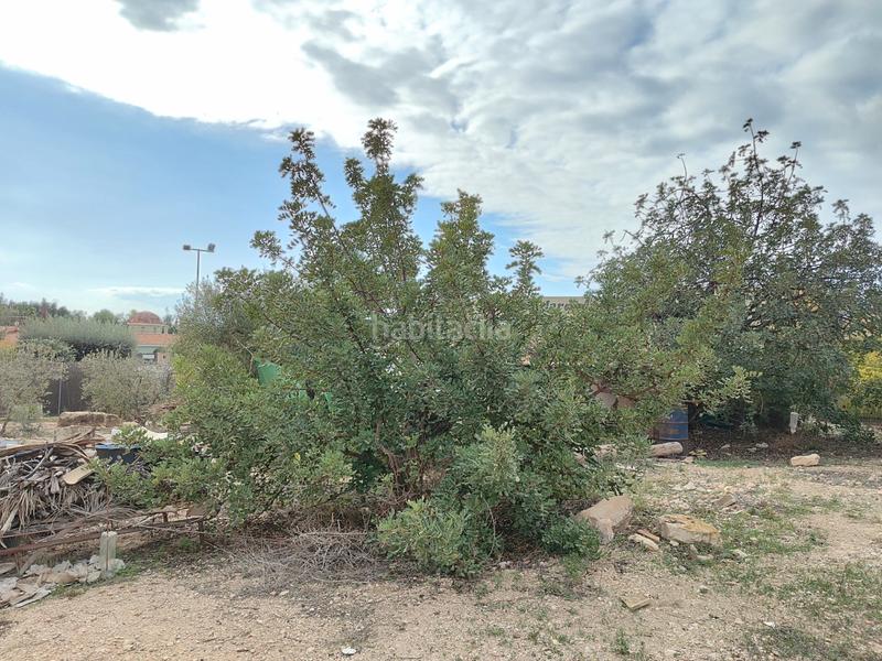 Foto a53b3d66-dbcd-442f-991e-0a7ab2282d45. Chalet in partida peña águilas 1006 in Peña de las Águilas Elche / Elx