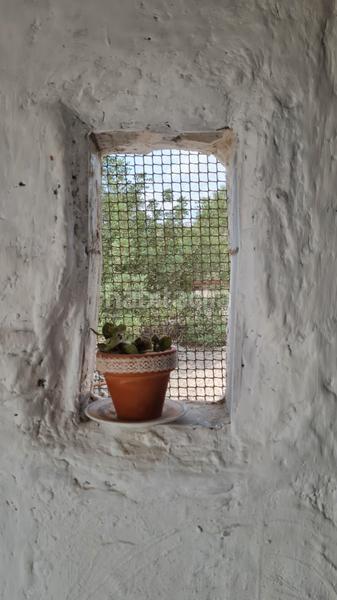 Foto c26ad9b2-f551-4f90-be75-080c8d9a9a75. Chalet in partida peña águilas 1006 in Peña de las Águilas Elche / Elx