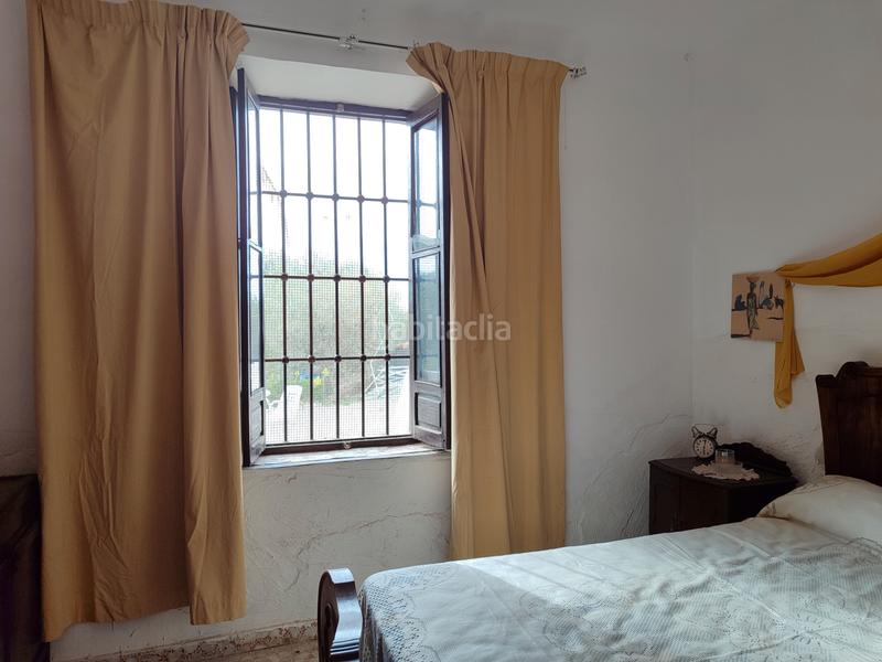 Foto cdd1fb47-6b2e-4b75-beb0-60a4676c4817. Chalet in partida peña águilas 1006 in Peña de las Águilas Elche / Elx