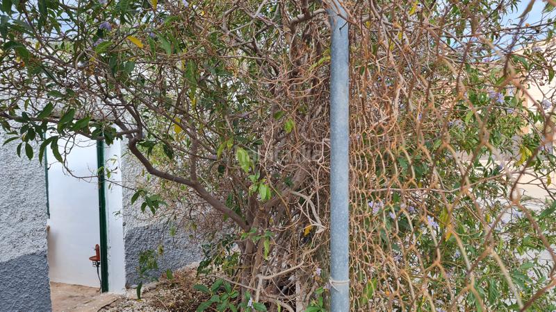 Foto ced16f0f-c0bc-4e03-bb13-447b0d09060f. Chalet in partida peña águilas 1006 in Peña de las Águilas Elche / Elx