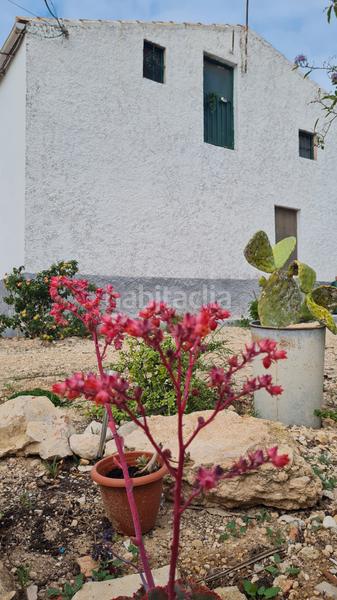 Foto dacb5086-b6a2-406b-a843-dc58554be63d. Chalet in partida peña águilas 1006 in Peña de las Águilas Elche / Elx