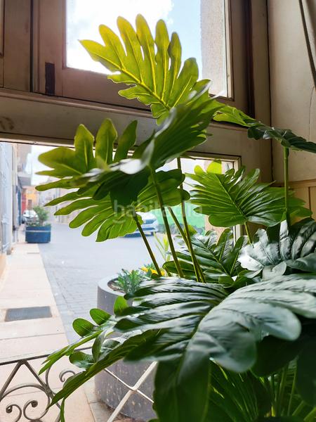 Foto a4d60ca9-ac8f-4bc8-b2f1-7c4465dd365f. Chalet dans calle virgen del carmen 5 dans Centro Aspe