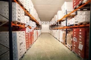 Rent Industrial building in Carrer número 27 75. Camaras frigorificas