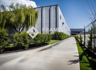 Nau industrial a Avinguda puig negre 2. Aislada