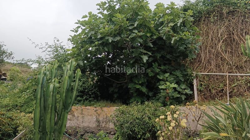 Foto a8b4afad-808e-4e6d-913c-9f5682d72891. Casa amb aparcament terrassa a La Vega - El Amparo - Cueva del Viento Icod de los Vinos