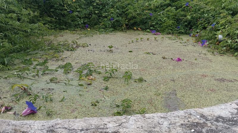Foto e5edf741-9512-4d4d-ac9e-1f8c1472cbf9. Casa amb aparcament terrassa a La Vega - El Amparo - Cueva del Viento Icod de los Vinos