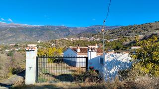 Finca rústica a Cómpeta. Finca de aguacates con casita rural en cómpeta (málaga)