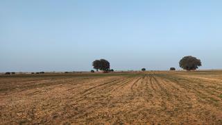 Finca rústica a Guadix. Finca de 200 hta en guadix con casa cueva totalmente equipada en