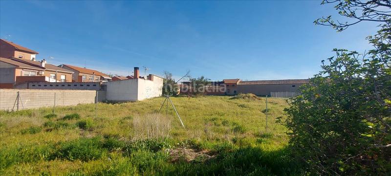 Foto 32d30a72-1f4c-4b78-918d-f528957aa5d5. Terreno residenziale in Alovera