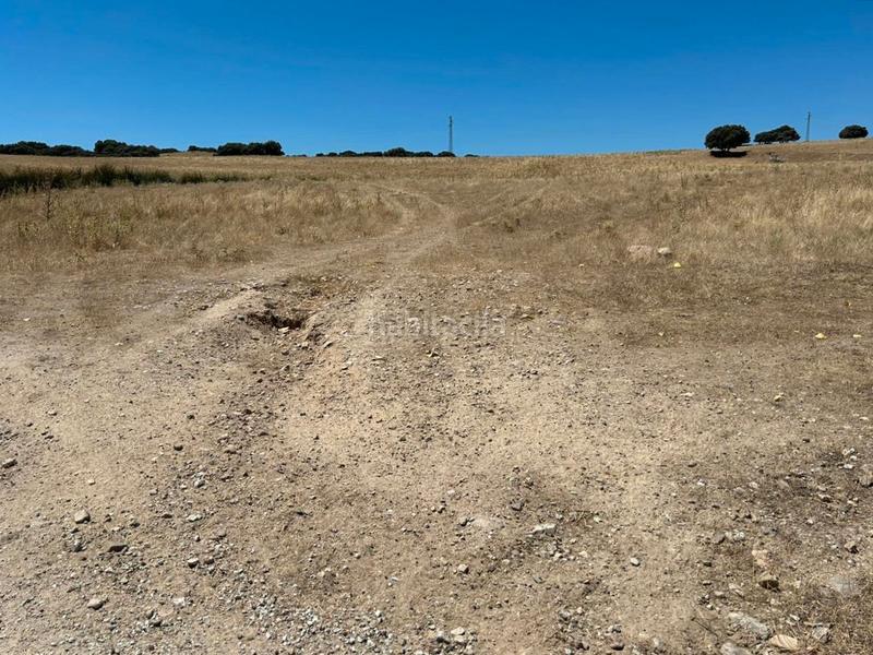 Foto 9e495dfb-018a-4d5f-bf99-3fa4ee39d807. Finca rústica a Cerca Tejera Colmenar Viejo