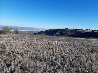 Fondo rustico in Rinconada. Finca rústica en venta en, alcalá de henares, madrid