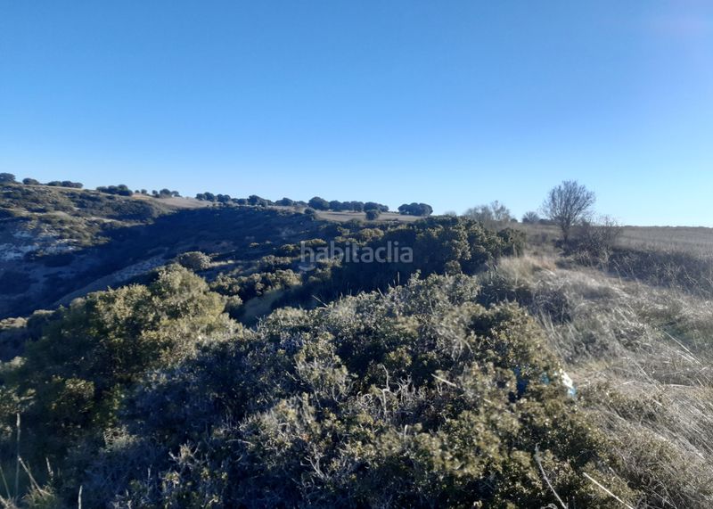 Foto 54f2ac82-5a9b-4431-97e7-0b66ae733d67. Finca rústica a Rinconada Alcalá de Henares