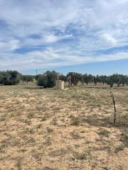 Finca rústica a Torrijos. Venta de parcela rústica en carreteril barcience.