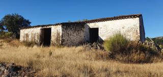 Finca rústica a Polígono 5 parcela 275 cerros altos. san vicente  5