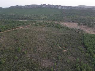 Rural plot  Polígono 56 parcela 86 cerro caldera. valencia de