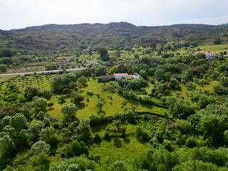Masia  Camino viejo. Magnifica finca con construcción para rehabilitar en las huertas