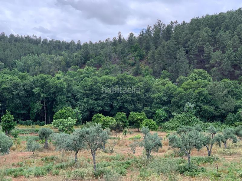 Foto 7f0aad92-fee6-4597-9b89-f390416293dc. Terreny residencial a Valencia de Alcántara