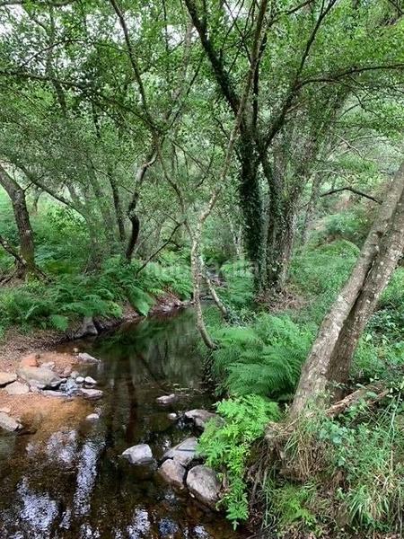 Foto 85652dae-d5fd-458d-b941-53ecf0adf53b. Terreny residencial a Valencia de Alcántara