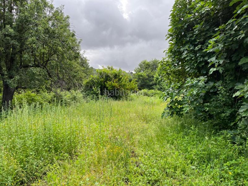 Foto efa77964-79a9-45ba-8704-0139ff156c97. Terreny residencial a Valencia de Alcántara