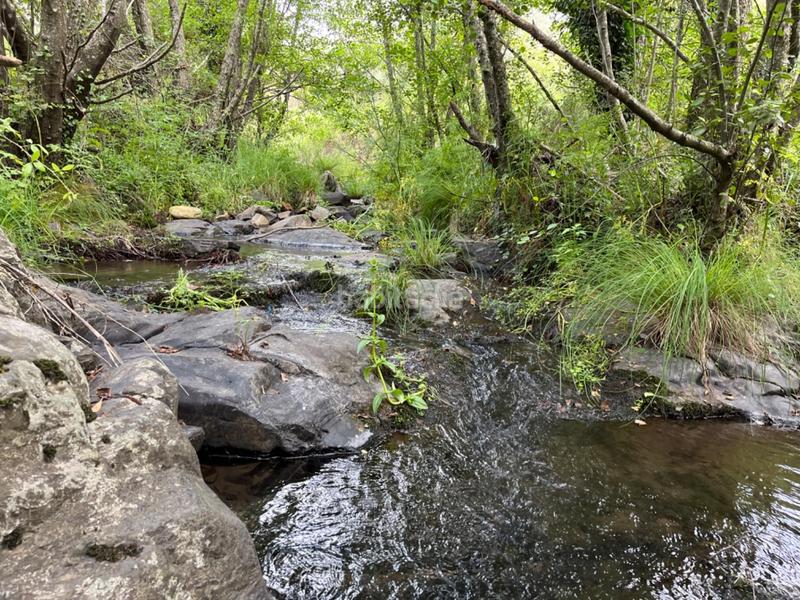 Foto f985037c-ed4c-4881-9716-d8000f94af3b. Terreny residencial a Valencia de Alcántara