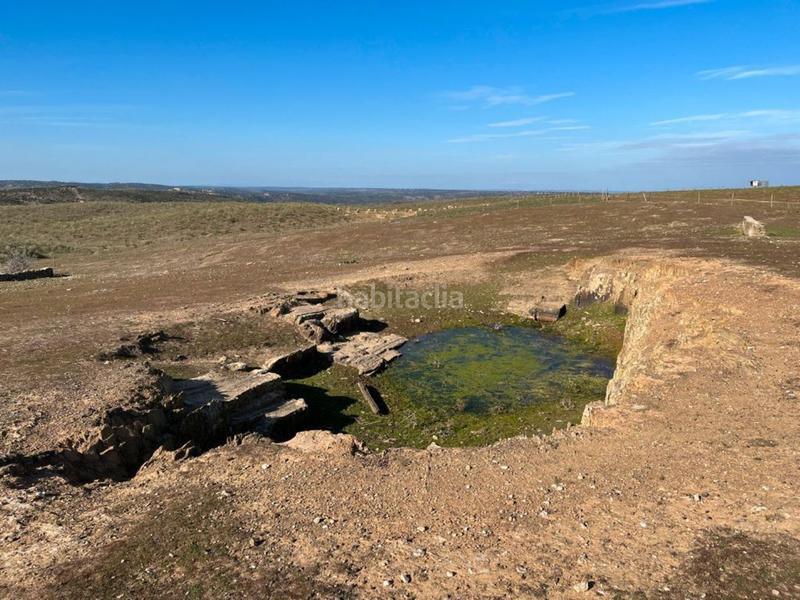 Foto 4194db3c-85b6-46a1-b56a-7b1b03dfe061. Terreny residencial a Valencia de Alcántara