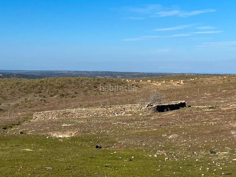 Foto 9450ec77-e241-45d5-a468-2045eef7c534. Terreny residencial a Valencia de Alcántara