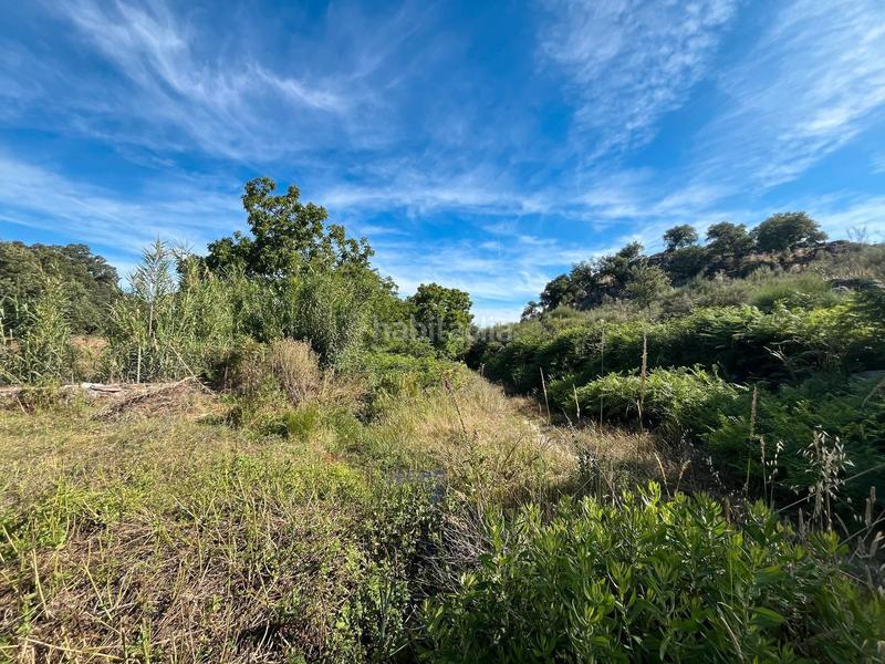 Foto 40390f18-a9ce-461c-8992-5fa4191a40a6. Terreny residencial a Valencia de Alcántara