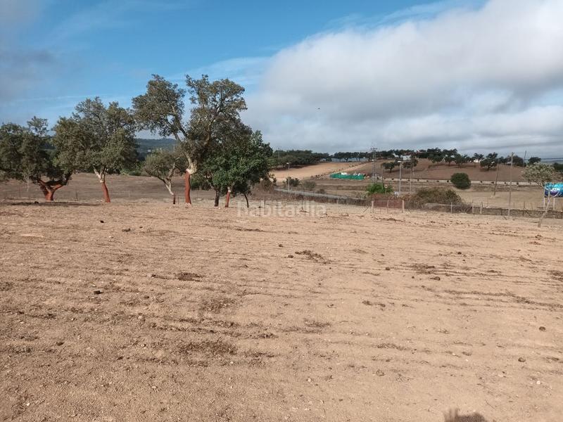 Foto 7c9f4e9f-4e13-405b-b2e8-6c04f7d6160f. Terreny residencial a Codosera (La)