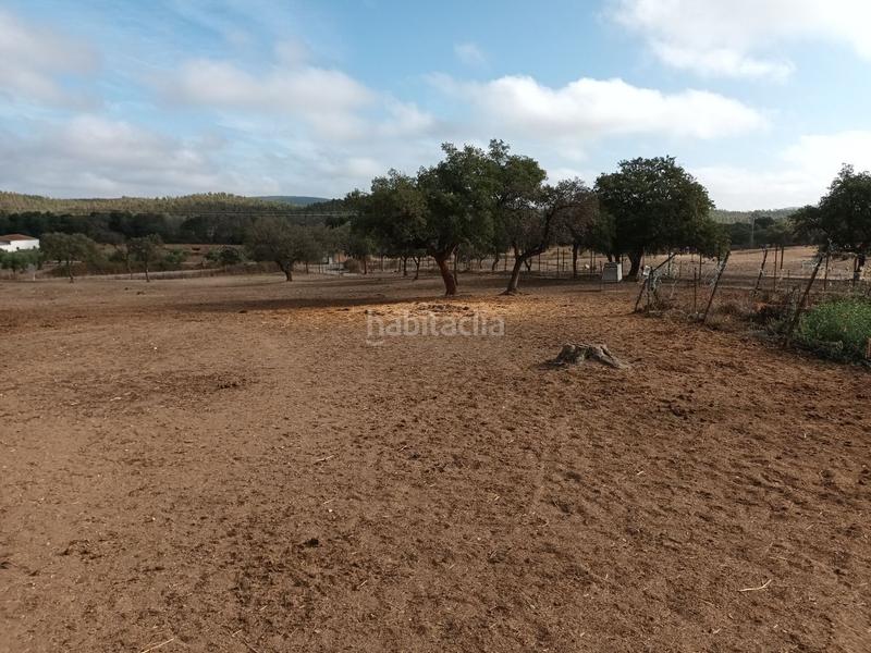 Foto c6893233-c378-4156-ae75-2035f27f94f8. Terreny residencial a Codosera (La)