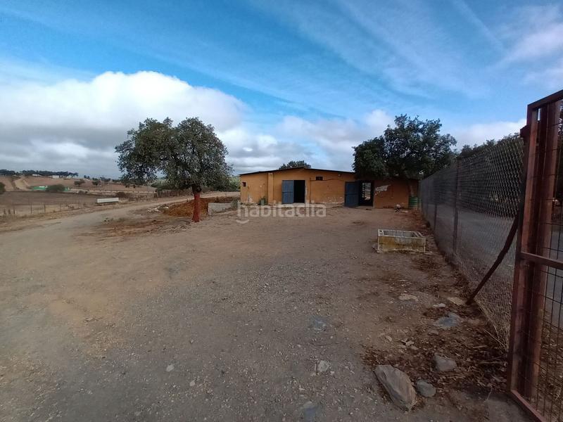 Foto e53ba583-1251-4ee5-ad44-55ec974c0cd8. Terreny residencial a Codosera (La)